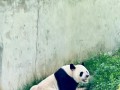 阿宝出装攻略（全方位分析阿宝出装搭配与技巧，助你成为最强王者！）