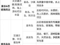 海岛大亨现代攻略（探索财富与欢乐的海岛世界，实现你的岛屿大亨梦）