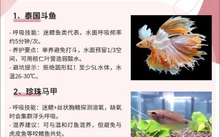 养鱼攻略（打造理想水族馆，轻松养鱼无忧）