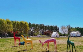 探寻玫瑰小镇的无尽魅力（花海漫步、品味美食、畅享艺术，体验浪漫与梦幻）