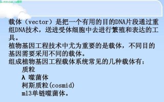 植物基因改造游戏攻略（探索、实验、进化，打造独一无二的植物生态系统）