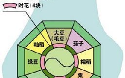 《以望见青空之丘》攻略（完美游玩必备攻略，助你探索最精彩的世界）