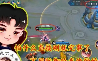 新小明出装和铭文攻略视频全面解析（打造最强新小明，从出装和铭文攻略视频开始）