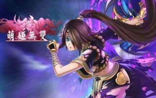 《姬斗无双2大乱斗》攻略指南（一招制胜，无敌于天！）