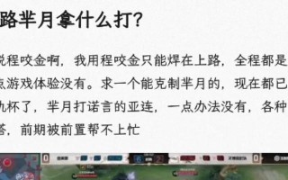 王者荣耀芈月AD出装攻略（探索芈月的无敌输出之道）