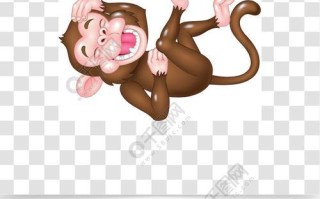 逗小猴子笑2攻略（从可爱动作到有趣表情，这1个让你成为小猴子的开心制造者！）