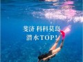 《斐济别墅游戏攻略大全》（逃离斐济别墅的绝密攻略，助你一步登天！）