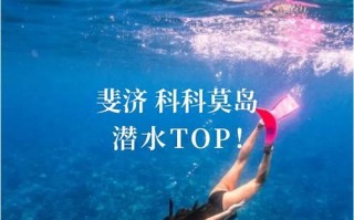 《斐济别墅游戏攻略大全》（逃离斐济别墅的绝密攻略，助你一步登天！）