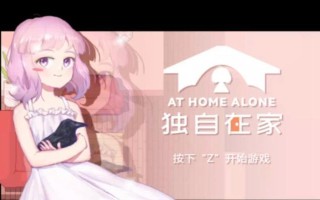 独自在家的最后游戏攻略（在家玩游戏终极攻略，助你打败无聊时光）