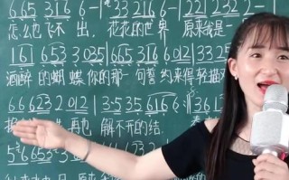 《以光遇酒醉的蝴蝶》（一只迷失了方向的飞舞者）