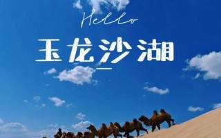 沙漠探险攻略（模拟城市游戏中沙漠地图的探险策略与技巧）