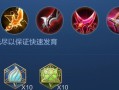 张大仙伽罗出装攻略（挑战更高段位，尽情发挥英雄特色！）