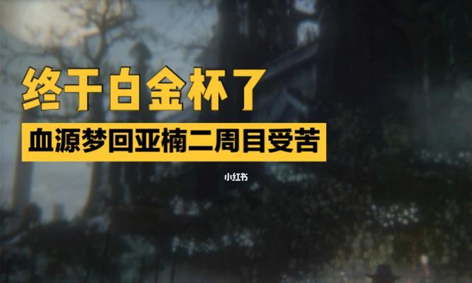 旧雅楠（探索旧雅楠的禁忌之谜，解救被诅咒的人们）-第2张图片-游戏玩法大全_