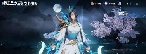 虞姬出装攻略详解（玩转虞姬，正确选择好六网装备，轻松击败对手）-第2张图片-游戏玩法大全_
