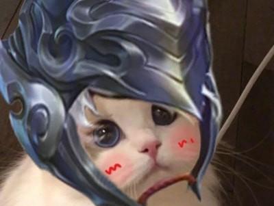 如何选择适合赵云的出装攻略（寻猫赵云出装攻略视频教学详解）-第3张图片-游戏玩法大全_