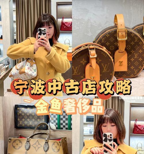《探寻奢侈品的真假世界——二手奢侈品认证攻略手游》（畅游奢侈品市场，发掘真正的财富）-第2张图片-游戏玩法大全_