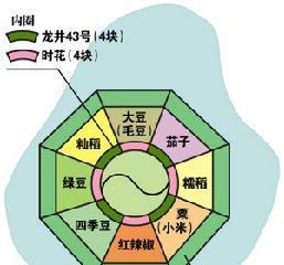 《以望见青空之丘》攻略（完美游玩必备攻略，助你探索最精彩的世界）-第1张图片-游戏玩法大全_