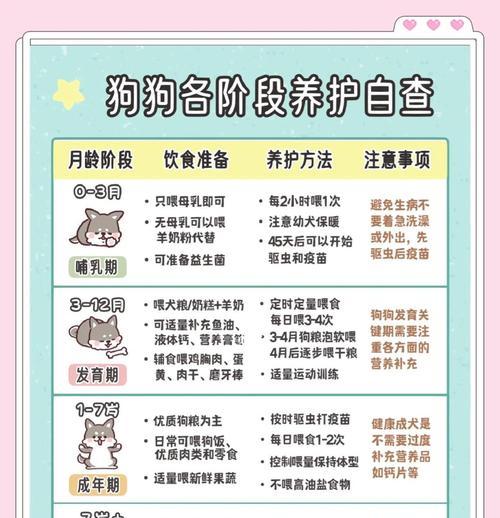 家养狗狗游戏攻略（如何在游戏中培养健康快乐的狗狗，让它们成为你的最佳伙伴）-第2张图片-游戏玩法大全_
