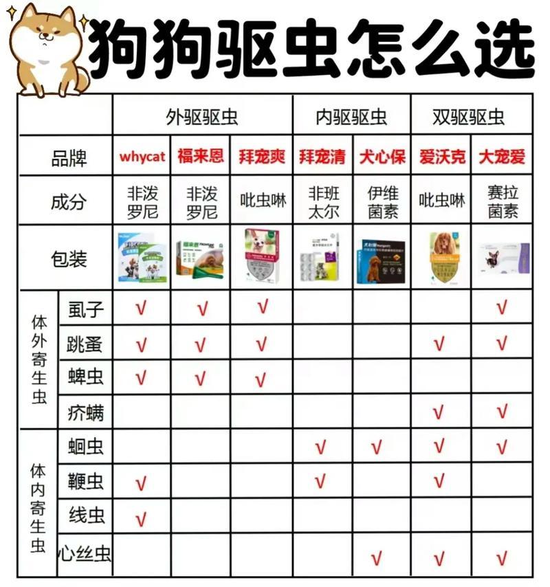 奇葩养狗游戏攻略（发挥创意，悦享养狗游戏乐趣）-第3张图片-游戏玩法大全_