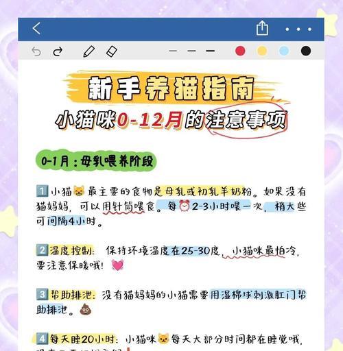 以小猫养成日本游戏攻略（从萌宠到顶级乐园，猫咪养成游戏的极限挑战）-第2张图片-游戏玩法大全_
