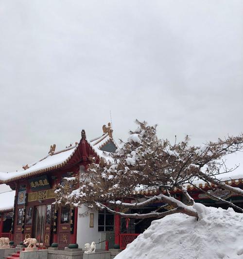 绿巨人渗透攻略（从身份伪装到情报收集，一步步教你成为无声杀手）-第2张图片-游戏玩法大全_