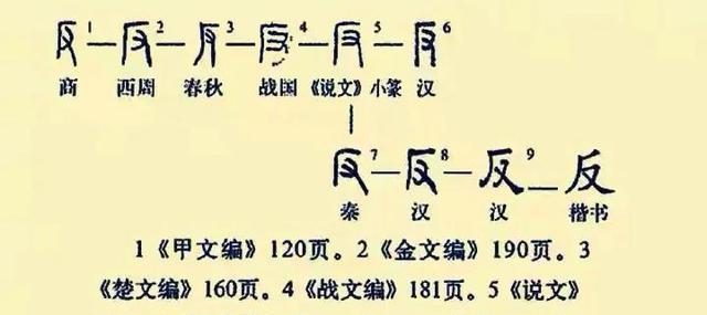 女娲铭文与出装攻略，打造最强战士！（掌握女娲铭文和出装技巧，成为游戏中的统治者！）-第1张图片-游戏玩法大全_