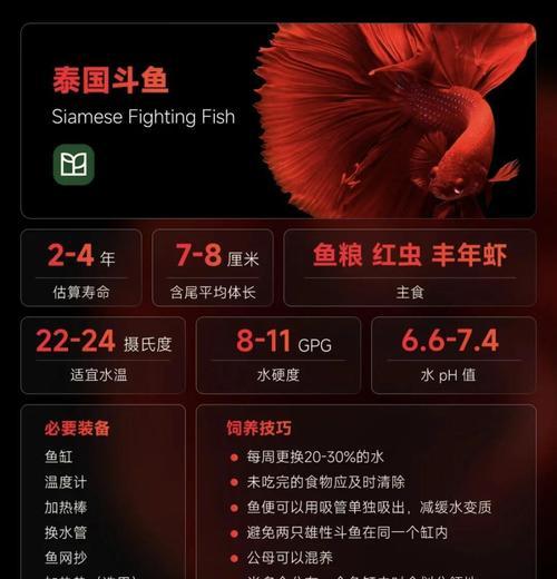 斗鱼小游戏养宠物攻略（斗鱼小游戏养宠物攻略详解，助你打造无敌战队）-第3张图片-游戏玩法大全_