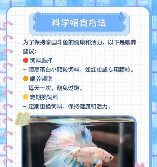 斗鱼小游戏养宠物攻略（斗鱼小游戏养宠物攻略详解，助你打造无敌战队）-第2张图片-游戏玩法大全_