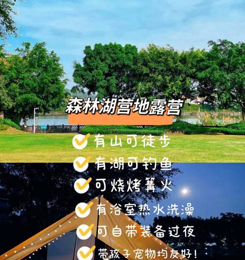 《探索自然趣味——8岁露营游戏攻略》（带领孩子近距离接触大自然，体验乐趣无穷）-第1张图片-游戏玩法大全_