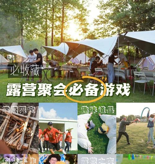 《探索自然趣味——8岁露营游戏攻略》（带领孩子近距离接触大自然，体验乐趣无穷）-第3张图片-游戏玩法大全_