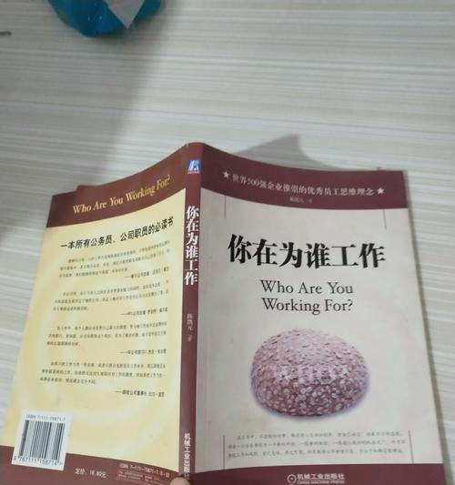 游戏攻略大揭秘！（打造最强游戏攻略的秘密武器）-第2张图片-游戏玩法大全_