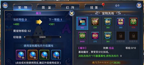 《宠物大乱斗游戏攻略》（带上你的宠物，战无不胜！）-第1张图片-游戏玩法大全_