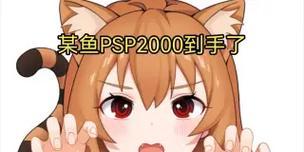 《以龙与虎PSP攻略》（掌握必杀技、解锁隐藏任务，打造无敌团队！）-第2张图片-游戏玩法大全_