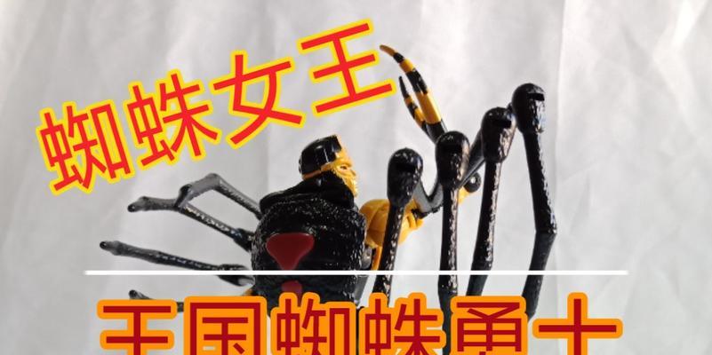 探索未知世界，追寻蜘蛛攻略游戏的神秘之旅（揭开蜘蛛攻略游戏的秘密，成为最强玩家）-第3张图片-游戏玩法大全_